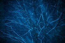 Tree at winter snowy night von Sharon Yanai