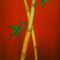 Bambus-braun3