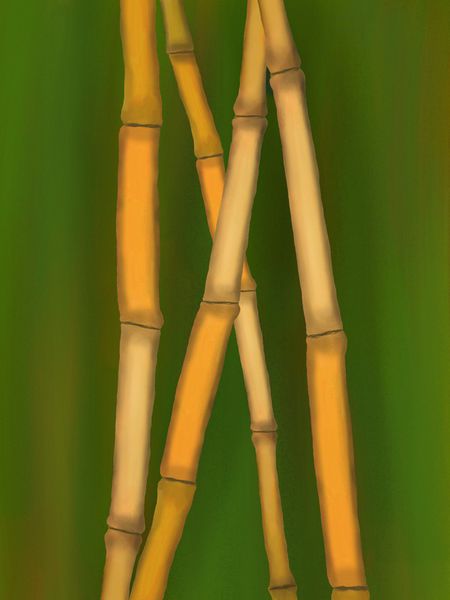 Bambus-braun5
