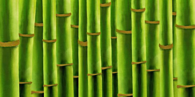 Bambus-fertig