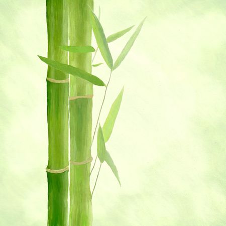 Bambus-gemalt