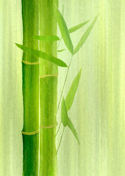 Bambus-hochformat