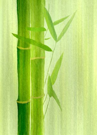Bambus-hochformat