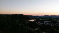 Vineyard in the Sunset of Moselle valley von Tobias Hust