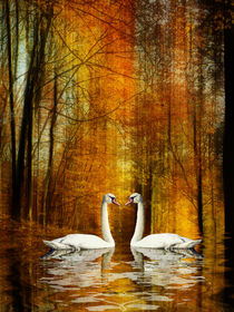 Swan lake - Love in autumn von Chris Berger