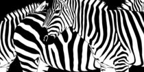 Verwirrende Zebrastreifen von Monika Juengling