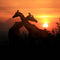 Giraffen-sunset