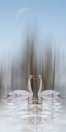 'Winter in the Swan Lake - Winter im Schwanensee' von Chris Berger