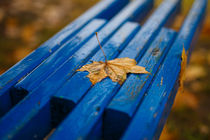Autumn still life by Uladzislau Mihdalionak