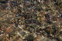 Rocks and stones through water von Jessy Libik