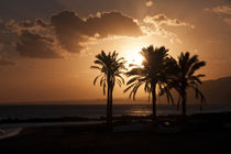 Sunset over a palm beach in southern Spain by Jessy Libik