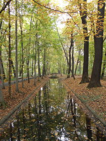 Tierpark Berlin - Bäume am Wassergraben von Antje Püpke
