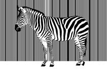 Zebra-Barcode by Monika Juengling