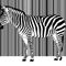 Zebra-barcode-einzelnd