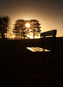 Sunset seat by Leighton Collins