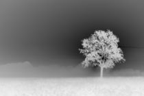 Nebel by J.A. Fischer