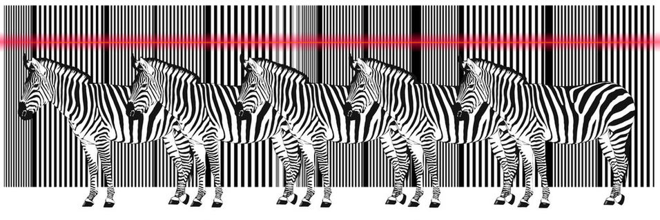 Zebra-barcode-laser-viele