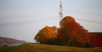 Herbstspiegelung an der Elbe 8 by Simone Marsig
