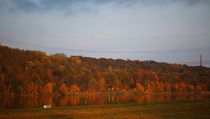 Herbstspiegelung an der Elbe 3 by Simone Marsig