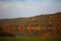 Herbstspiegelung an der Elbe von Simone Marsig