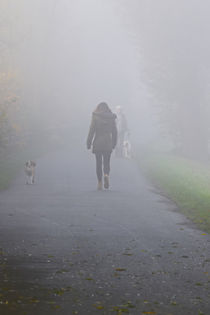 Gegenverkehr im Nebel by Bernhard Kaiser