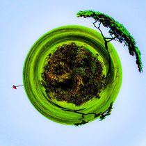 golf course with trees and blue sky in small planet style von timla