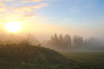 Sonnenaufgang, Nebel - Traumhaft von Bernhard Kaiser