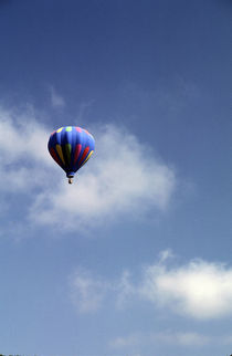 Hot Air Balloon by Sally White