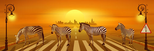On-the-street-zebras
