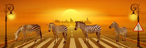 Use the zebra crossing by Monika Juengling
