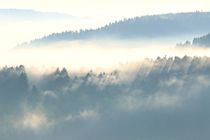 Nebel am Morgen von Bernhard Kaiser