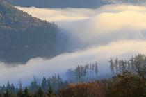 Nebel fliesst durch das Tal 2 by Bernhard Kaiser