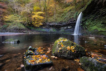 Autumn leaves at Sgwd Gwladus by Leighton Collins