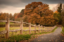 Rustic wooden fence by Leighton Collins