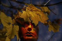Abstract - Face of autumn by Chris Berger