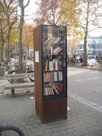 Blick in die Heimat 7 - Street-Library by Pia Roth