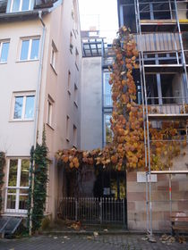 Herbst in Nürnberg 9 von Pia Roth