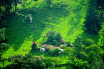 Little farm in the colombian Andes von Daniel Steeves