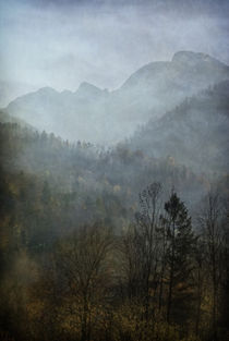 nebelschönheit  -  beautiful mist by augenwerk