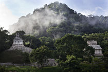 Palenque von Manuel Bruque