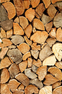 natural wood von augenwerk