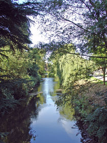 The River Through Trentham von Rod Johnson
