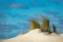 Landschaft mit Dünen auf der Insel Amrum by Rico Ködder