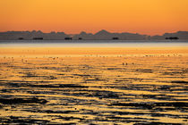 Sonnenaufgang am Wattenmeer auf der Insel Amrum by Rico Ködder