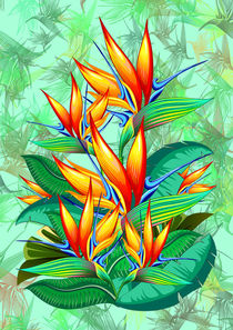 Bird of Paradise Flower Exotic Nature by bluedarkart-lem
