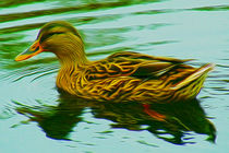 Lady Duck (Digital Art) by John Wain