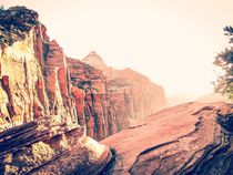 At Zion national park, USA in summer by timla