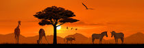 Romantisches Afrika mit Wildtieren in Panorama by Monika Juengling