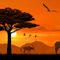 Afrika-tiere-pano