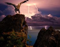 Eagle on a background of distant lightning flashes by Yuri Hope